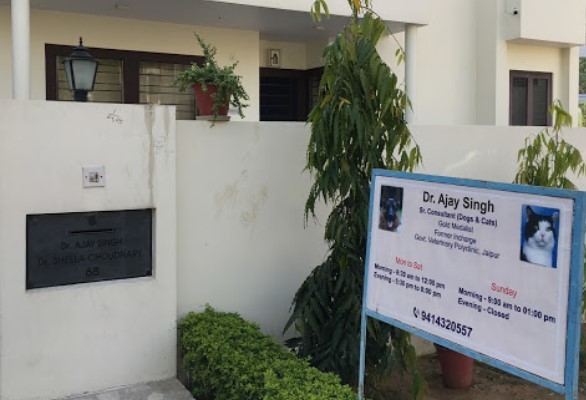 Dr singh dog sales clinic