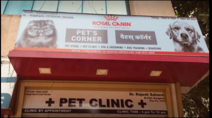 Pets Corner - Pet Shop And Clinic | Top Vets in Thane | ePets - Vets