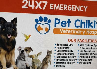 Pet Chikitsa Veterinary Hospital | Top Vets in Gurugram | ePets - Vets