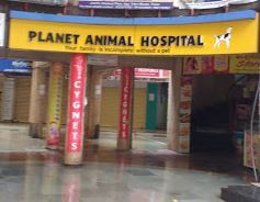 Planet Animal Hospital | Top Vets in Thane | ePets - Vets