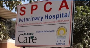 SPCA Veterinary Hospital Kanpur - Vets
