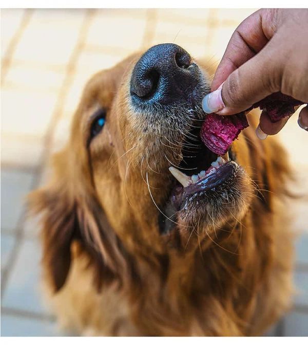 Dogsee Crunch Beetroot: Freeze-Dried Beet Dog Treats - Pack Of 5