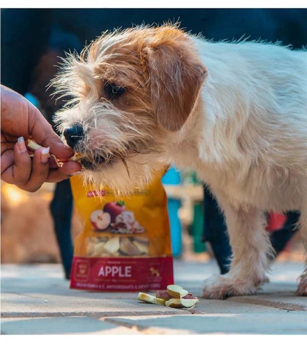 Dogsee Crunch Apple: Freeze-Dried Apple Dog Treats - Pack Of 3