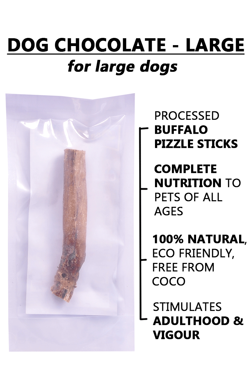 Dog Chocolate – Large Size. Buffalo Pizzle Chews For Dogs